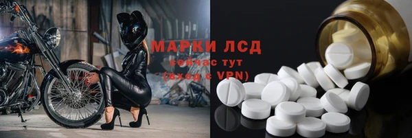 прущие грибы Алексин