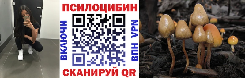 Галлюциногенные грибы Psilocybine cubensis  дарнет шоп  Слободской 